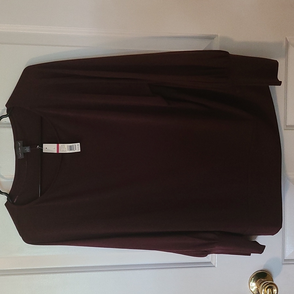 The Limited Blouse size Large